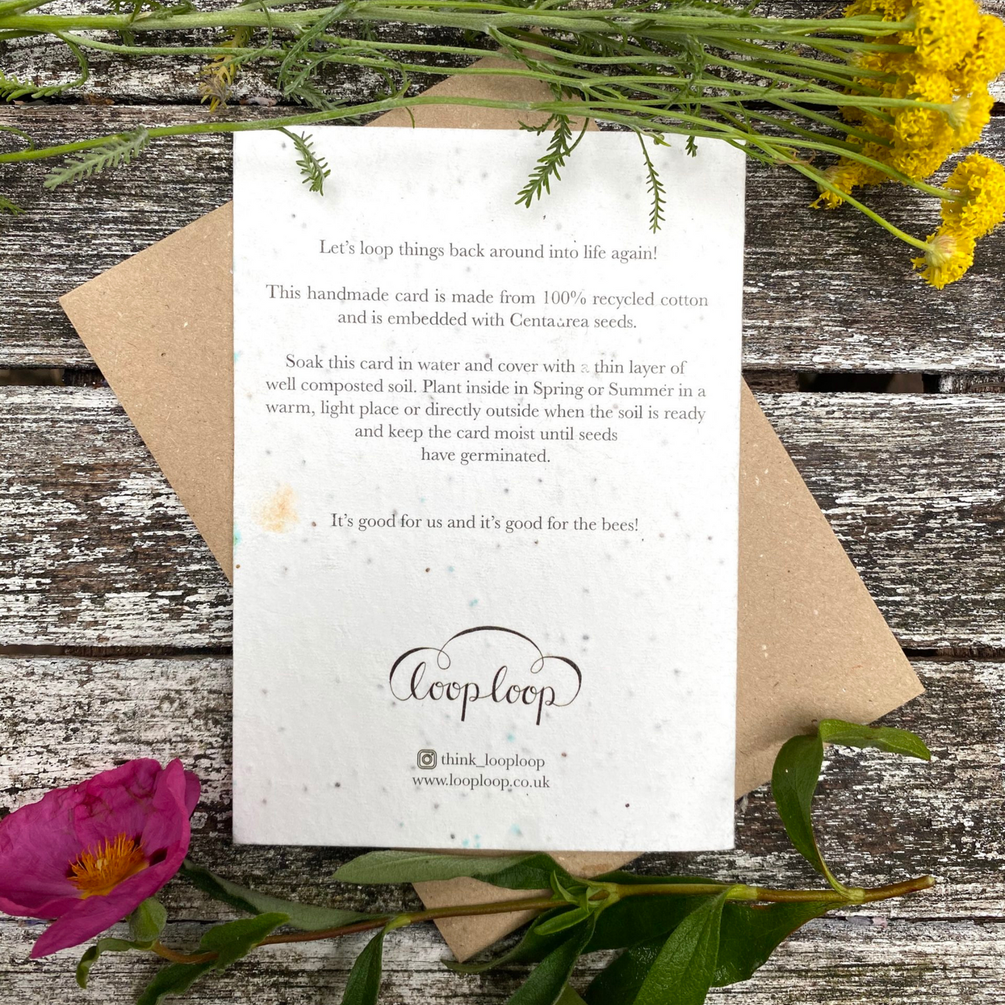 Loop Loop - Plantable Seed Card - Another Year Wiser